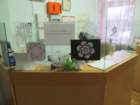 photo7_small.jpg